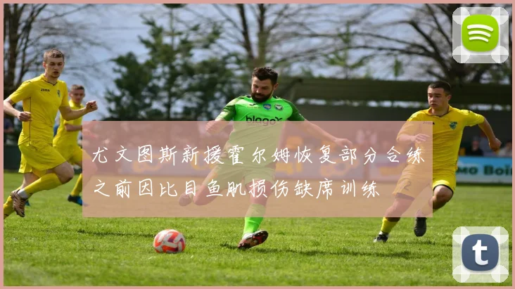 尤文图斯新援霍尔姆恢复部分合练之前因比目鱼肌损伤缺席训练