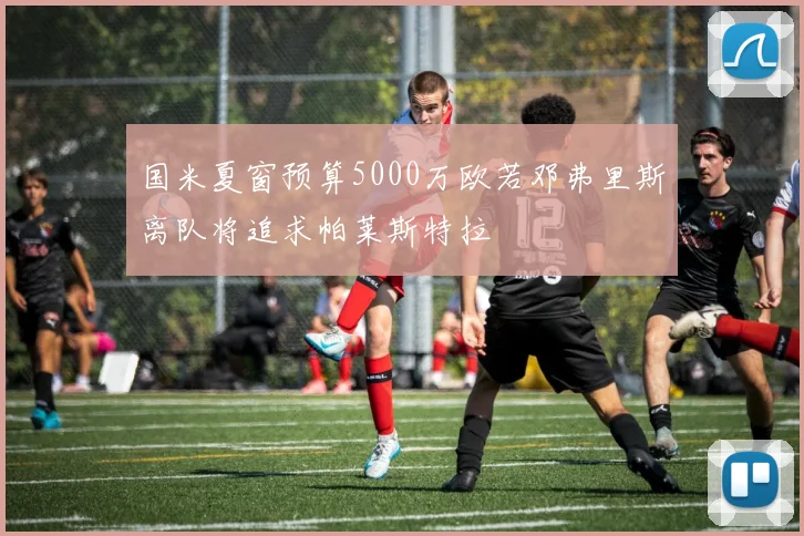 国米夏窗预算5000万欧若邓弗里斯离队将追求帕莱斯特拉