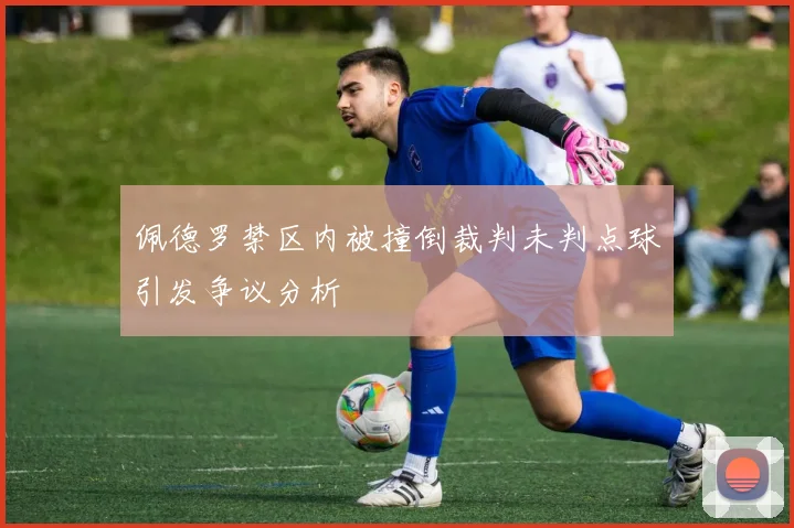 佩德罗禁区内被撞倒裁判未判点球引发争议分析
