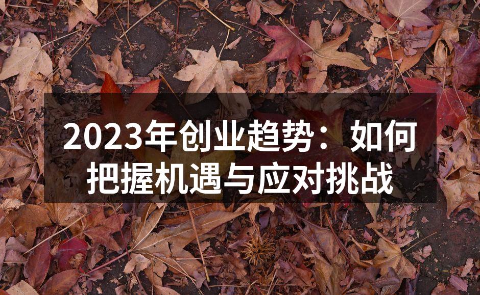 2023年创业趋势：如何把握机遇与应对挑战