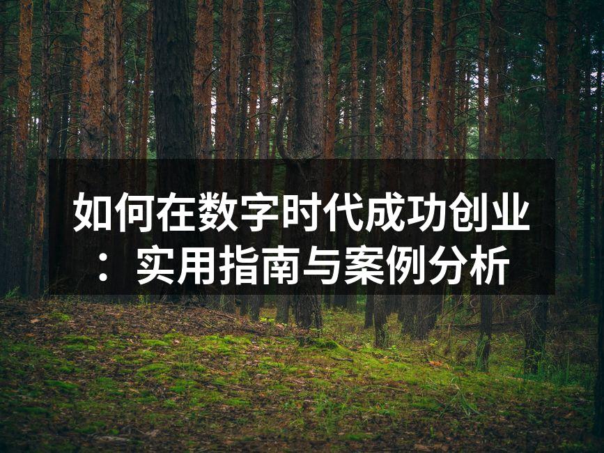 如何在数字时代成功创业：实用指南与案例分析